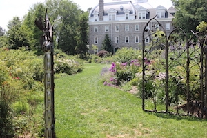 a garden gate opens to a lovely patch of flowers